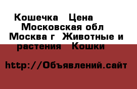Кошечка › Цена ­ 10 - Московская обл., Москва г. Животные и растения » Кошки   